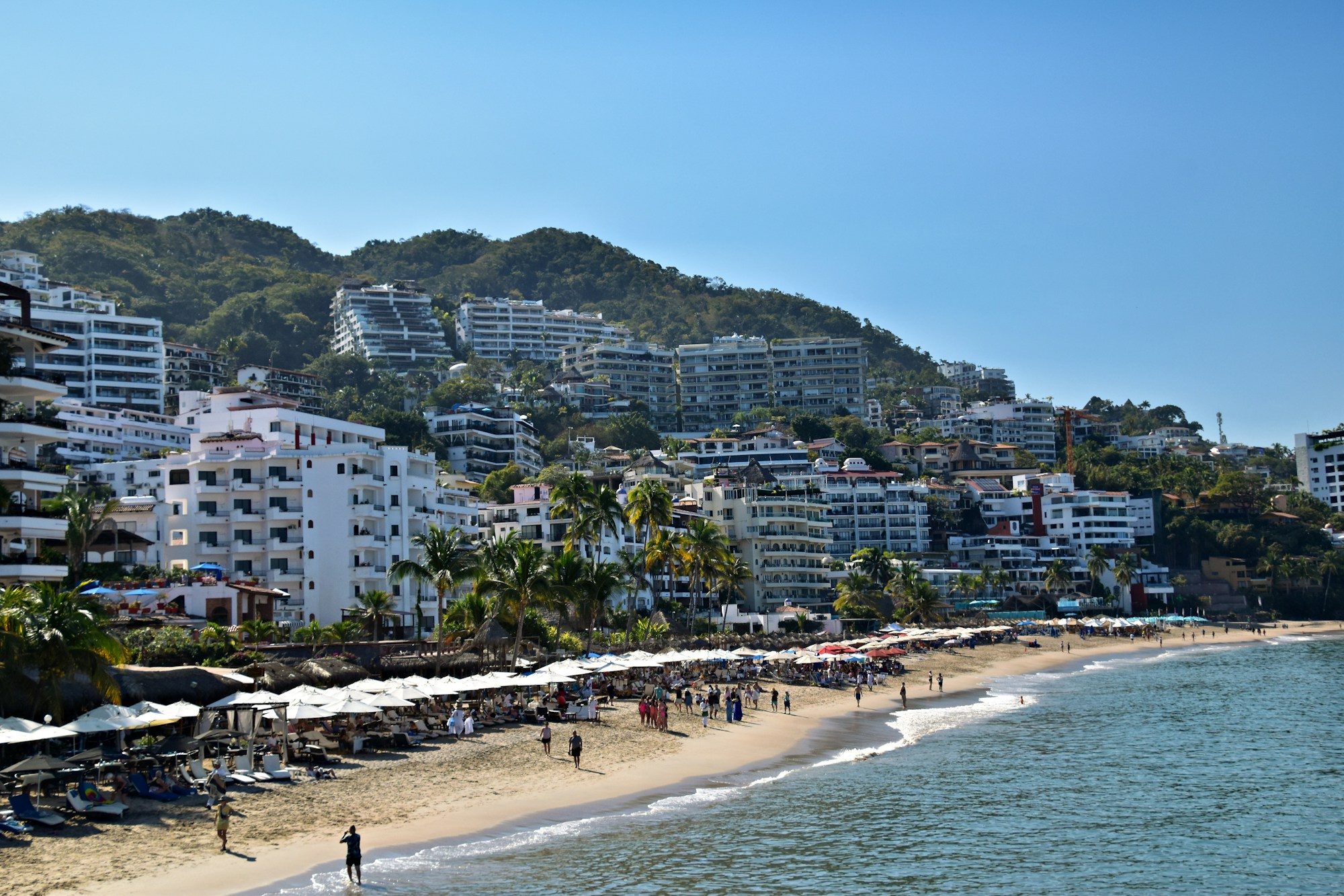 The beach and hillside hotels of Puerto Vallarta's Romantic Zone under a blue sky